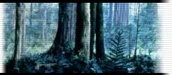 planetendor.jpg