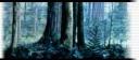 Endor