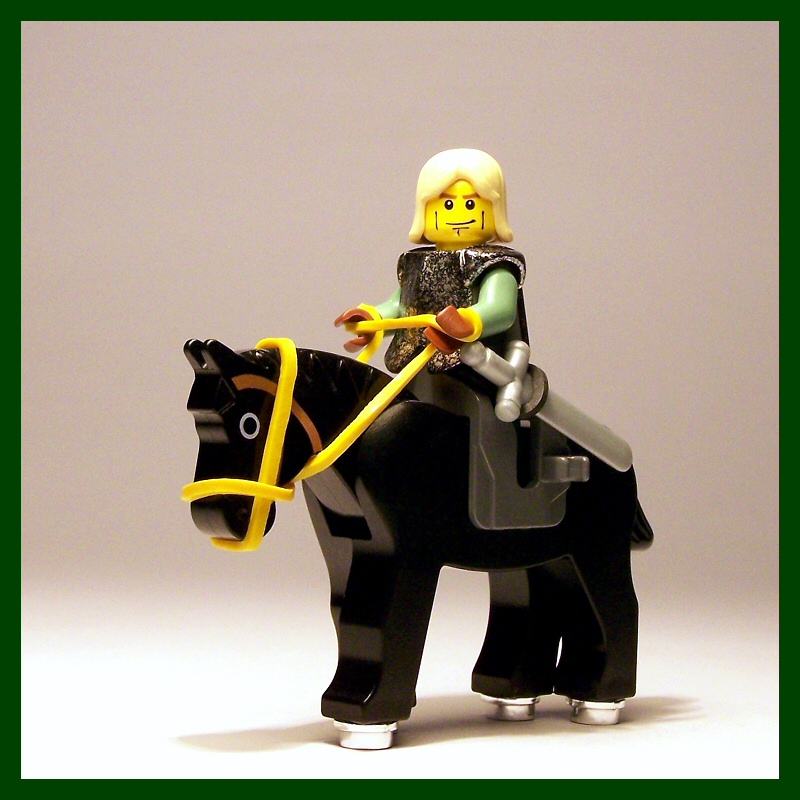 6_rider.jpg