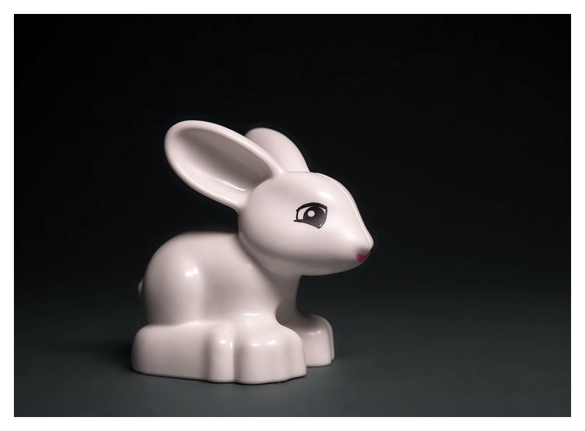 30063_rabbit_4.jpg