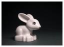 30063_rabbit_4.jpg