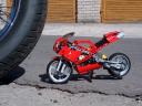 a06.jpg