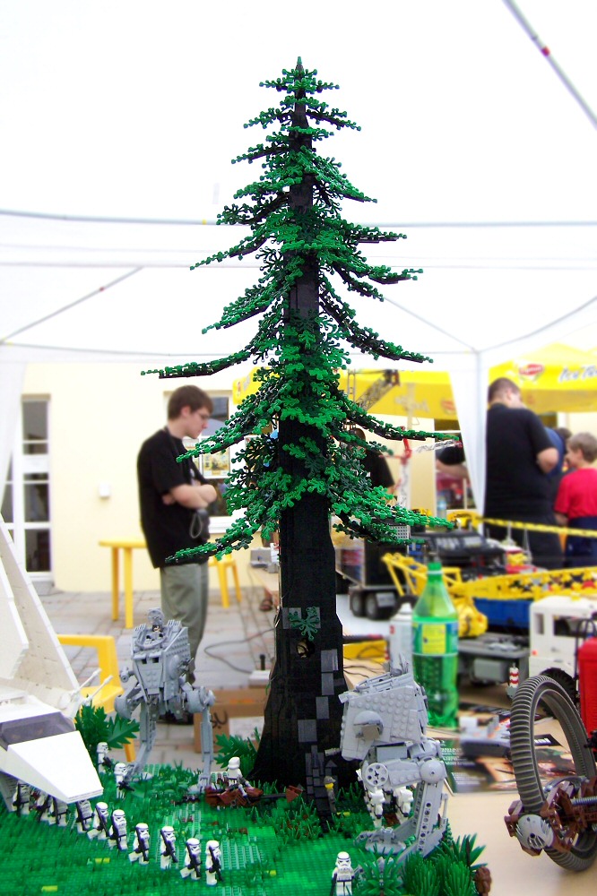 p28.jpg