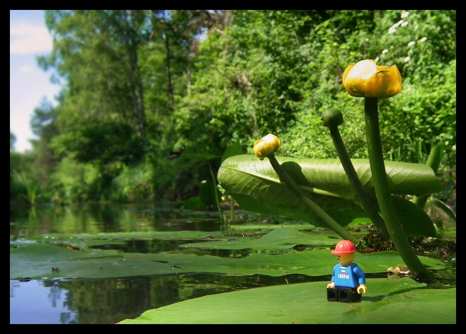 20110605_08s.jpg