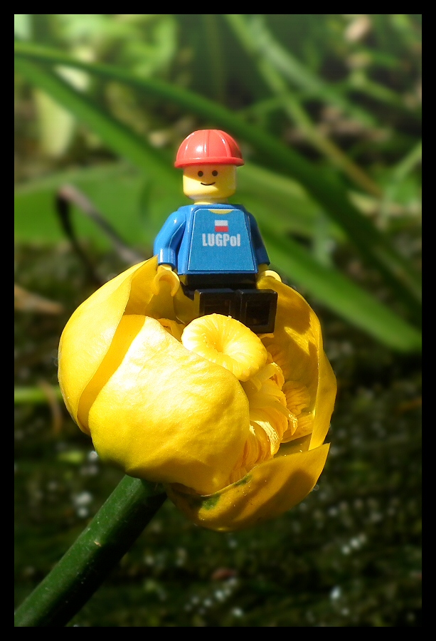 20110605_10s.jpg