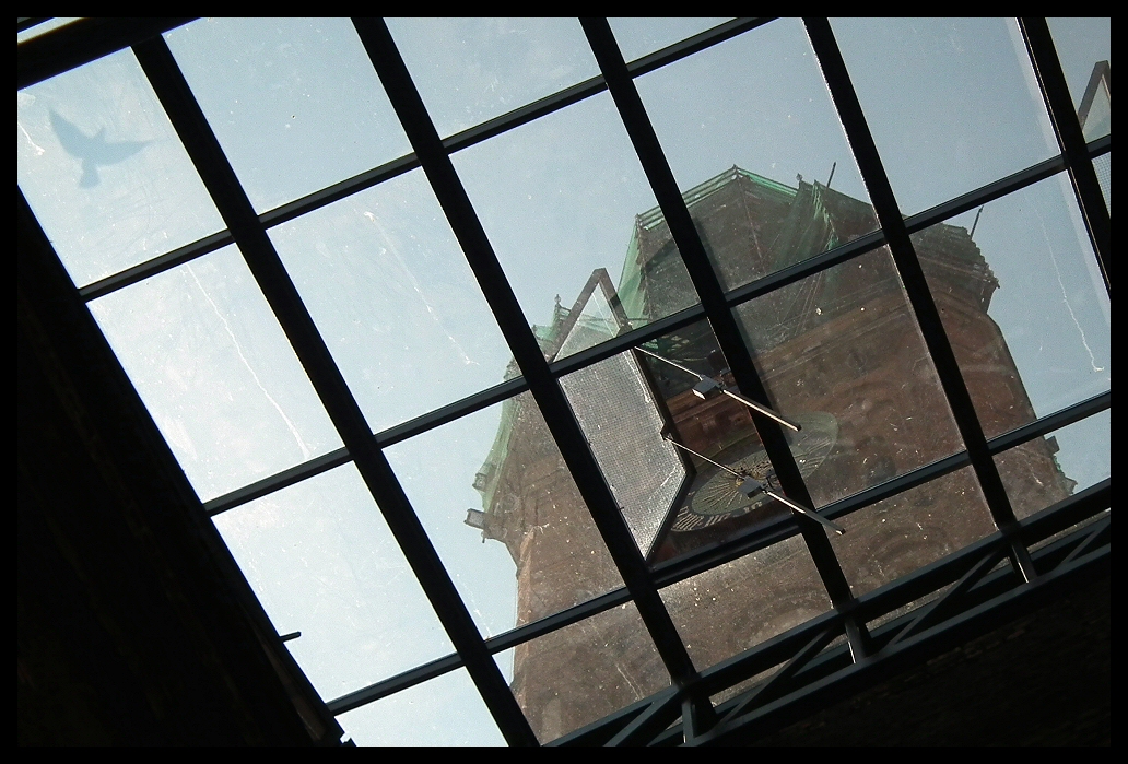 20110709_237.jpg