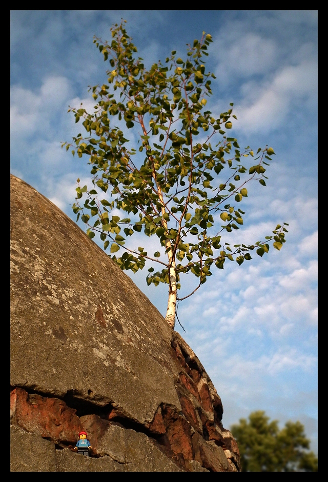 20110612_56.jpg