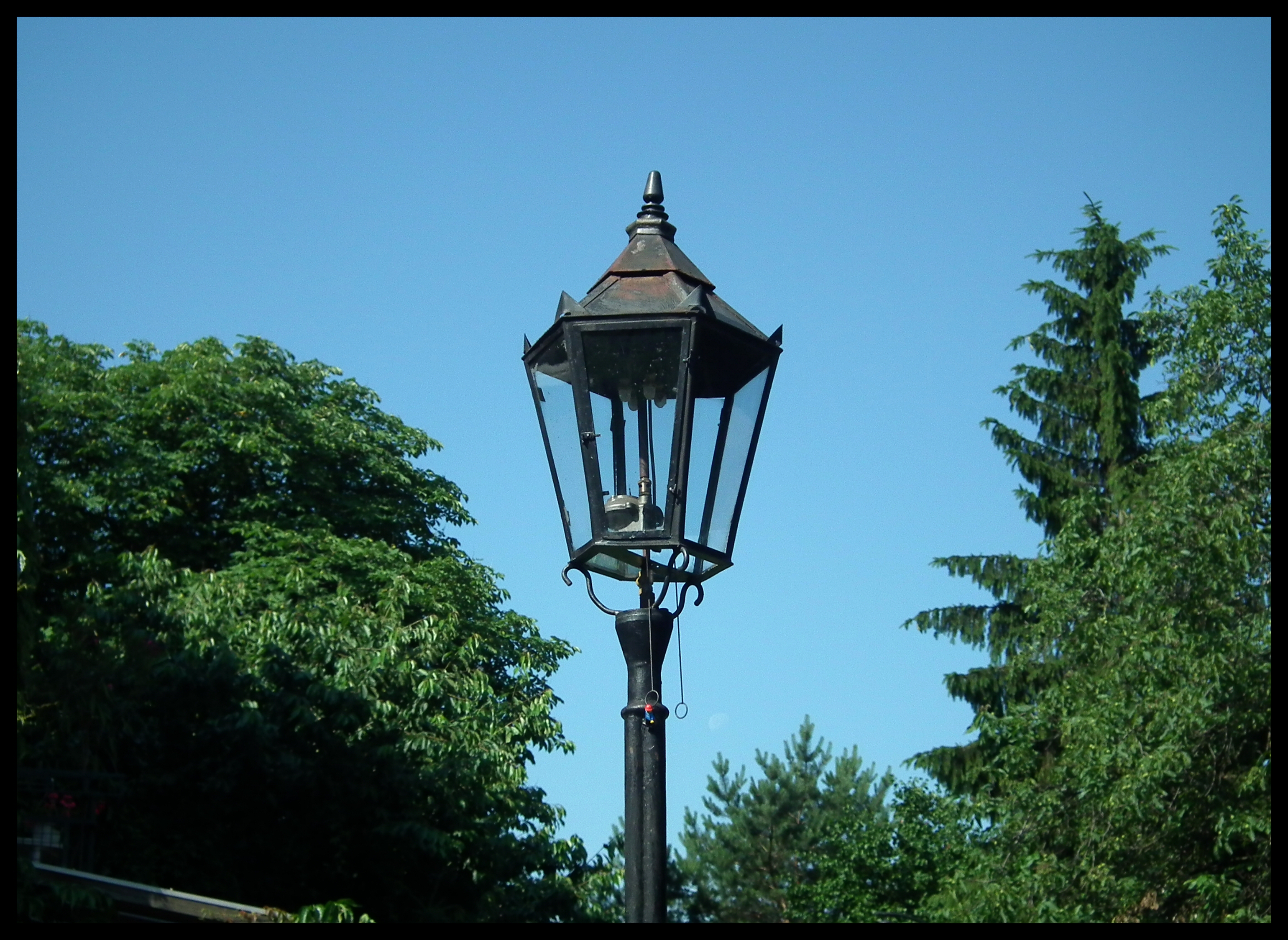 20110621_06.jpg
