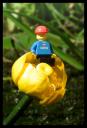 20110605_10.jpg