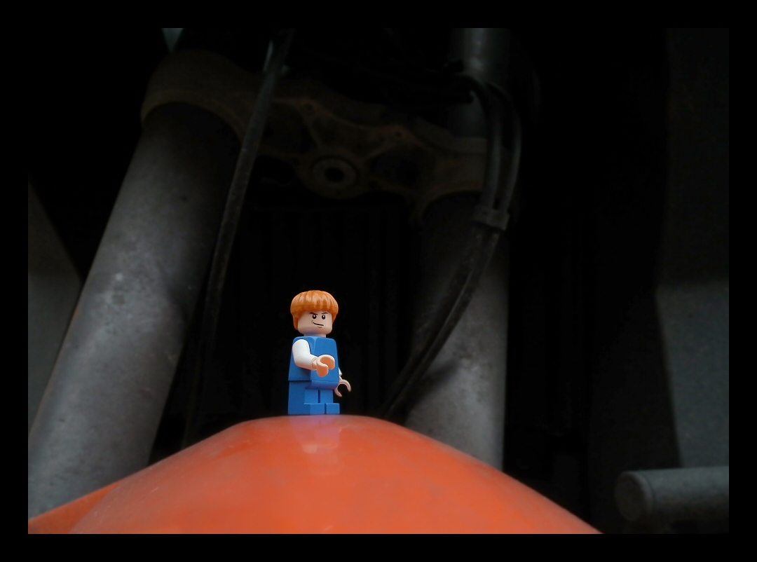 20111210_byfmtww2011_01.jpg