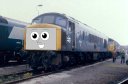 D199__My_Picture_.png