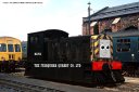 Mavis__My_Picture_.png
