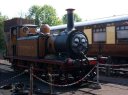 Stepney__My_Picture_.png