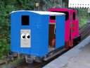 Cora__My_Picture_.png