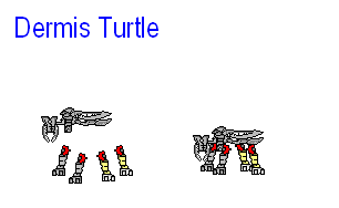 dermis_turtle.png