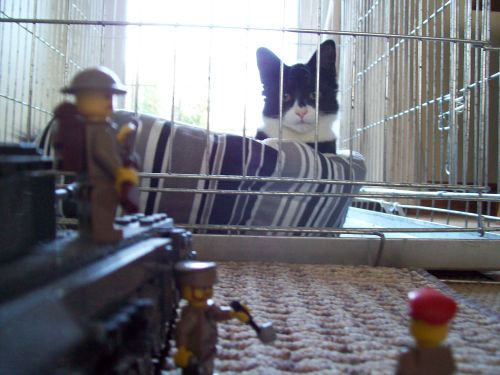 prisoner002.jpg