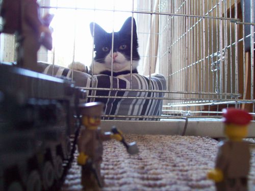 prisoner004.jpg
