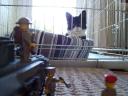 prisoner002.jpg