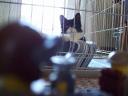 prisoner003.jpg