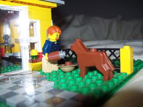 dogfood002.jpg