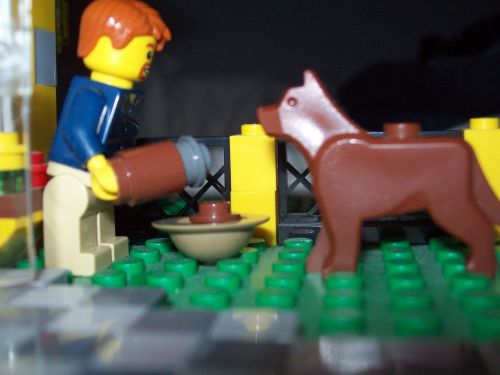 dogfood003.jpg