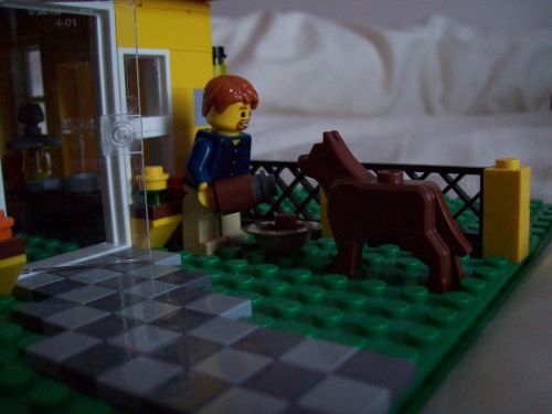 dogfood004.jpg