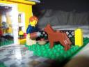 dogfood002.jpg