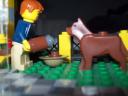 dogfood003.jpg