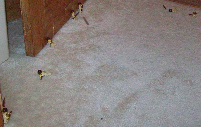 101_0164.jpg