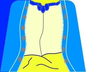poopedpirate2.jpg