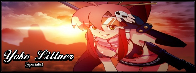 yoko_banner.jpg