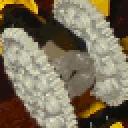 animatedav.gif