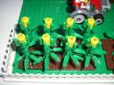 horta004.jpg