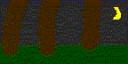 moon.gif