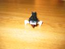 100_0057.jpg