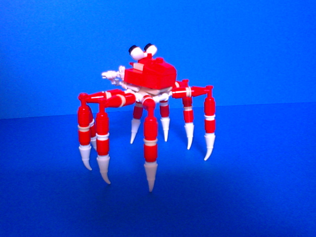 giant-spider-crab06.jpg