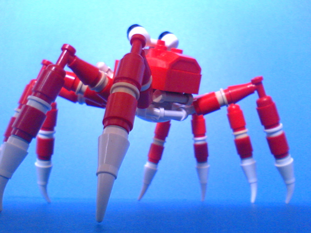 giant-spider-crab10.jpg