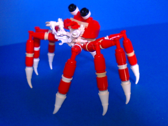 giant-spider-crab11.jpg