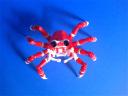 Giant-spider-crab