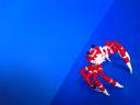 giant-spider-crab07.jpg