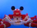 giant-spider-crab08.jpg