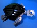 Green-seaturtle