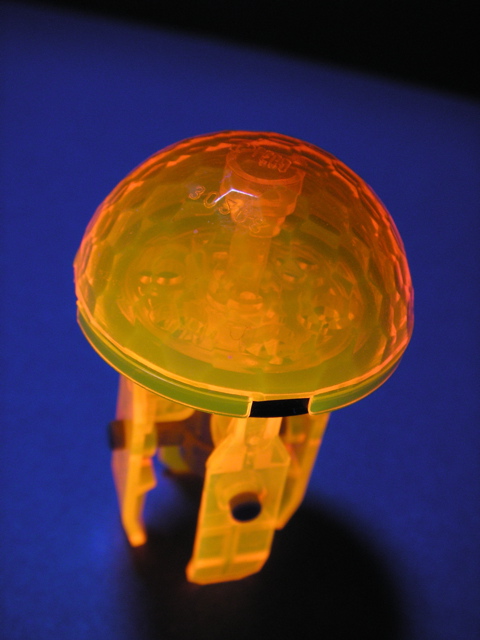jellyfish5.jpg