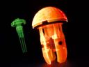 jellyfish8.jpg