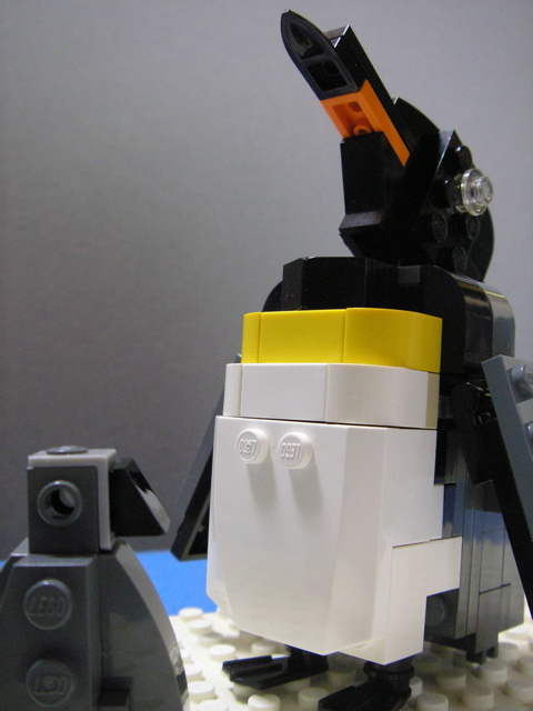king-penguin5.jpg