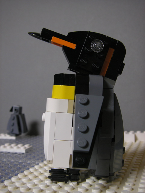 king-penguin8.jpg