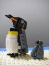 king-penguin2.jpg