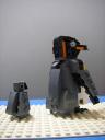 king-penguin3.jpg