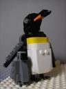 king-penguin7.jpg