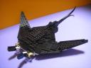 manta-ray8.jpg